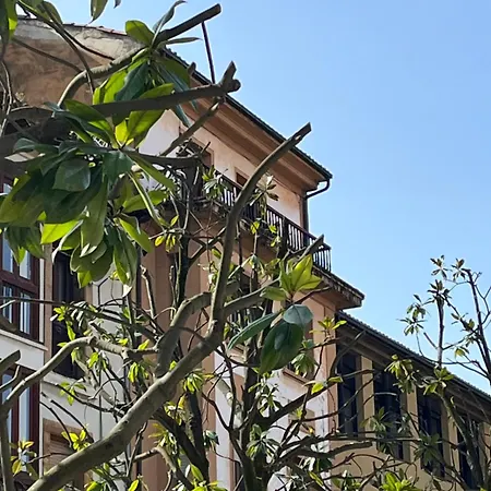 Apartment Salsipuedes-la Catedral Oviédo